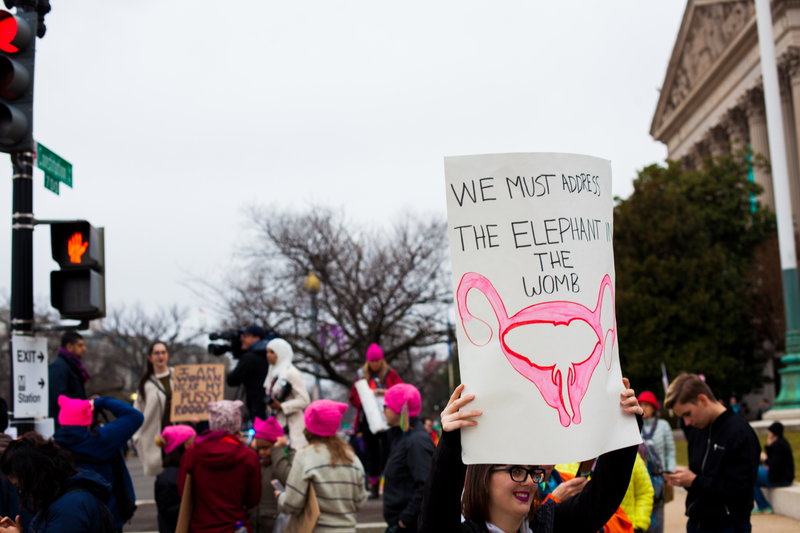 Illustration for article titled WOMEN'S MARCH ON WASHINGTON : THE SIGNS